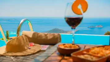 Kiralık Villanın Avantajları