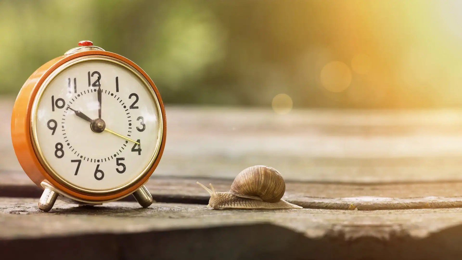 Kısa Süreli Kiralıklar